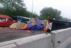 17 Kendaraan Terlibat Kecelakaan di Tol Cipularang, Jumlah Korban 24 Orang