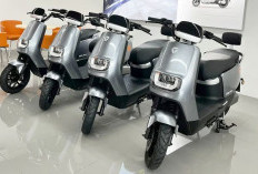 Motor Listrik Yadea Dapat Subsidi Rp7 Juta, Harga E8S Pro Jadi Rp16,9 Juta
