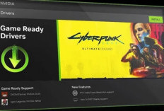 Heboh NVIDIA App Bermasalah, FPS Game Turun Hingga 15%!