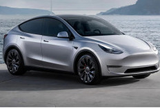 Tesla recall Model Y karena masalah pada kabel lampu belakang