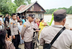 Teror Buaya di Ogan Ilir, Polisi Langsung Turun Tangan