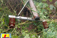 Tiang Listrik Roboh Akibat Hujan, Wilayah Tanjung Kari hingga Sadau Jaya Alami Pemadaman