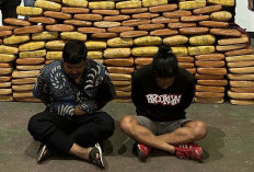 Polisi Gagalkan Penyelundupan 143 Kg Ganja, 2 Kurir Diamankan