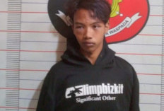 Polisi Tangkap Pelaku Bobol Rumah