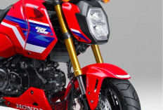 Honda Grom 2026 Resmi Meluncur, Motor Mini Sport Ini Dibanderol Rp 48 Jutaan