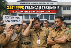 Kebijakan Baru Pemprov Sumsel Picu Kekhawatiran, 3.141 PPPK Terancam Tersingkir