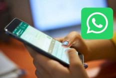 Banyak Tak Disadari, Pengaturan WhatsApp Ini Diam-diam Bisa Menguras Memori HP