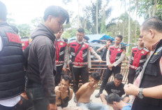 Tim Gabungan Gerebek Kampung Narkoba Empat Lawang, 7 Orang Diamankan