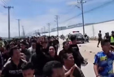 97 WNI Jadi Korban Penipuan Kerja di Kamboja, DPR Desak Pemerintah Turun Tangan