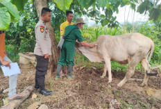 Telah Capai Target, Dinas Peternakan Siap Berikan Vaksin Hewan Jika Ada Permintaan