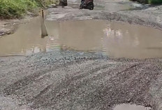 Warga Diminta Waspada, Jalan Desa Bendi Buay Rawan OKU Selatan Rusak Parah dan Tergenang Air