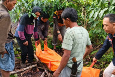 Nyawa Melayang di Kebun Kopi: Diduga Tertangkap Mencuri, Pria 45 Tahun Tewas Diamuk Massa di Buay Runjung