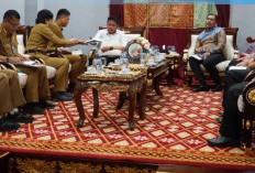 Bupati OKU Selatan Audiensi Penertiban IUP ke Gubernur Sumsel