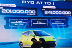 Penjualan kuartalan BYD group turun untuk pertama kalinya sejak 2020
