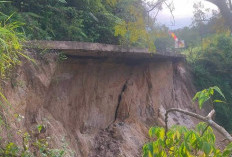 Jalan Mekakau-Pulau Beringin Terancam Putus