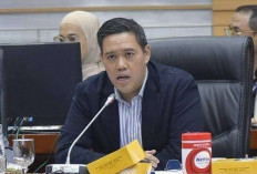 Kemlu Diminta Manfaatkan Momentum Pengakuan Prancis terhadap Palestina