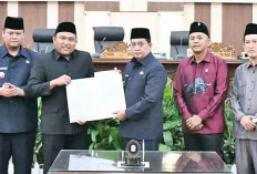 Wakil Ketua I DPRD: Prestasi Banyuasin 2024 Harus Dipertahankan dan Ditingkatkan