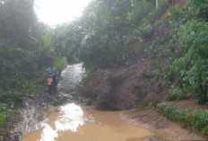Hujan Tinggi, Longsor dan Banjir Terjang Wilayah Kisam Tinggi
