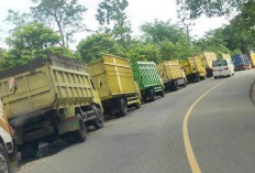 APBI Desak Pembatasan Penggunaan Jalan Umum di Sumsel Diterapkan Bertahap