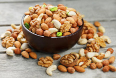 Dokter NHS Ungkap Manfaat Luar Biasa Kacang Kenari, Rekomendasikan Konsumsi Harian
