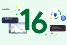 6 Fitur Baru Android 16: Desain Baru hingga Keamanan Lebih Canggih