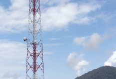 Warga Desa Datar Harapkan Bantuan Tower Telkomsel