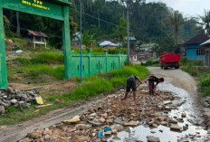 Warga Desa Cokohnau Swadaya Timbun Jalan Provinsi Berlubang, Harap Segera Diperbaiki