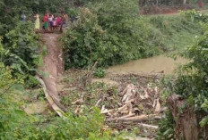 Jembatan di Desa Gunung Mas Ambruk, Satu-Satunya Akses Warga Ingin ke Kebun