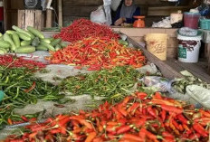 Harga Cabai Rawit Hijau di Empat Lawang Naik, Tembus Rp55 Ribu per Kilogra