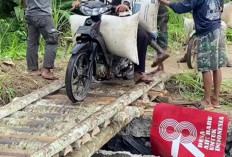 Jembatan Teriti Putus, Warga Nekat Andalkan Jembatan Darurat dari Batang Pinang
