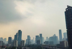 Pengalaman Menggunakan Aplikasi untuk Cek Kualitas Udara: Penting untuk Kesehatan