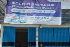 Harga Pupuk Subsidi Melejit, Warga Sri Menanti Menjerit