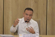 Evakuasi WNI dari Iran-Israel, Sufmi Dasco: Secara Bertahap