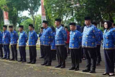 Honor Tambahan ASN Banyuasin Tahun 2024 Jadi Sorotan BPK