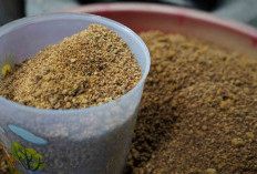 Reforma Agraria Dorong Usaha Gula Semut Bangkitkan Ekonomi Desa Hargorejo
