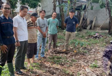 Bupati Intruksikan Dinas PU dan BPBD Gerak Cepat Atasi Longsor