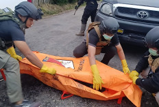 KKB Bakar 1 Mobil dan Tembak Mati Sopir di Paniai