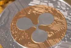 XRP Alami Lonjakan 600%, Siapa Pemegang Terbesarnya?