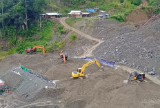 Tambang Ilegal Gunakan Merkuri, Negara Rugi Rp300 Miliar