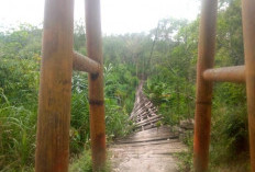 Jembatan Gantung Rusak, Warga Campang Andalkan Rakit Bambu Menyeberangi Sungai Kemu