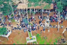 Kampung Kenzo Anugerah Kemu, Wisata Baru Favorit Wisatawan OKU Selatan