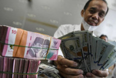 Rupiah melemah seiring pelemahan cadangan devisa Indonesia