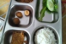 Keluhan Menu MBG “Tidak Sesuai” di Berbagai Daerah, Orang Tua Murid Minta Evaluasi Menyeluruh