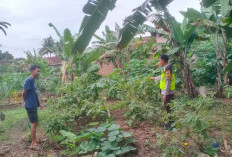 Personel Polsek BSA Bantu Warga Kelola Ketahanan Pangan