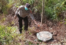 Nenek 87 Tahun di Gelumbang Ditemukan Tewas Membusuk di Kebun Karet Setelah 11 Hari Hilang