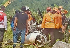 TNI AU Investigasi Penyebab Pesawat Latih Jatuh