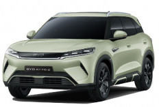 Kode Diduga BYD Atto 2 Muncul di Data NJKB DKI, Harga Resmi Masih Misteri