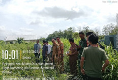 Pastikan Program Berjalan Optimal, Camat Muaradua Tinjau Lahan Koperasi Merah Putih di Dua Desa