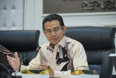 Anggota DPR Nilai Diskon Tiket Pesawat untuk Lebaran Jadi Angin Segar bagi Masyarakat