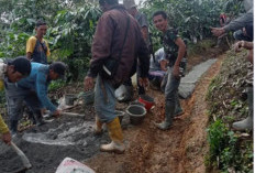 Tak Menunggu Bantuan, Warga Desa Pauh Gotong Royong Perbaiki Jalan Kebun yang Rusak